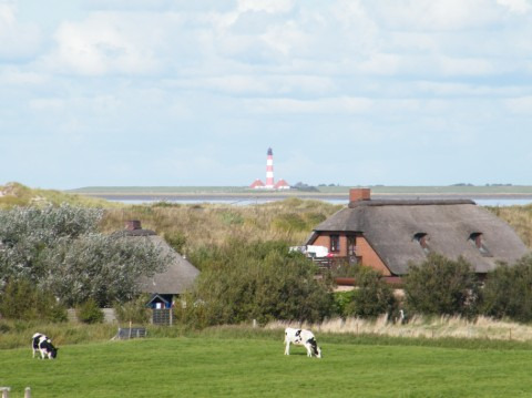 Reetdachferienhaus Strandperle