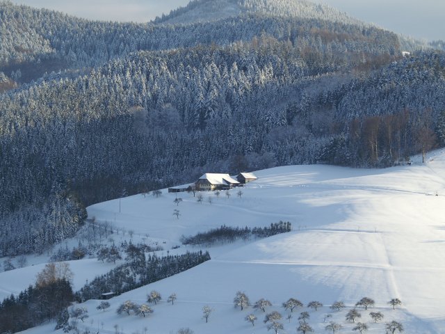Ferienwohnung Zimmermann