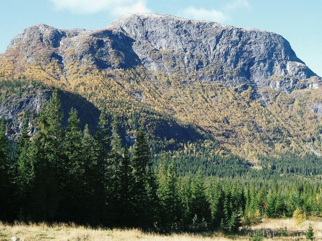 Steinteigen Hüttenvermietung
