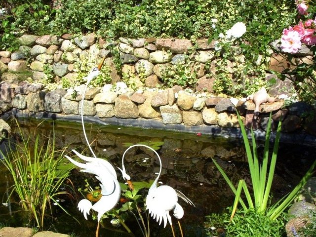 Schwanen See an der Ostsee